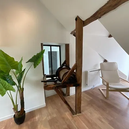 Apartment Type Loft Au Coeur De