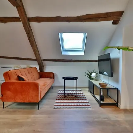 Type Loft Au Coeur De * Louviers